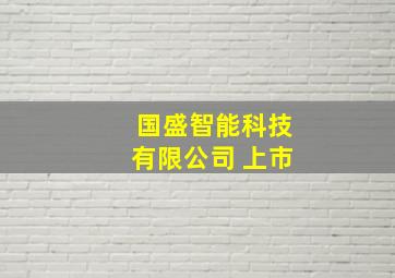 国盛智能科技有限公司 上市